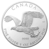Silver coin 1 oz  Birds of Prey