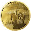 Gold coin 1 oz Gold Moose